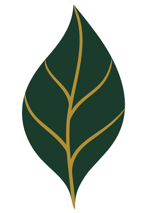Primary logomark